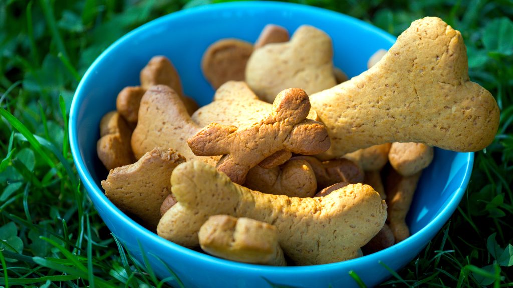 snacks caseros para perros